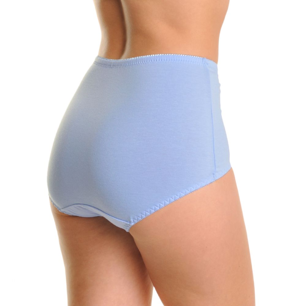 Buy ANESHA Women's Underwear Cotton Briefs High Waisted Panties