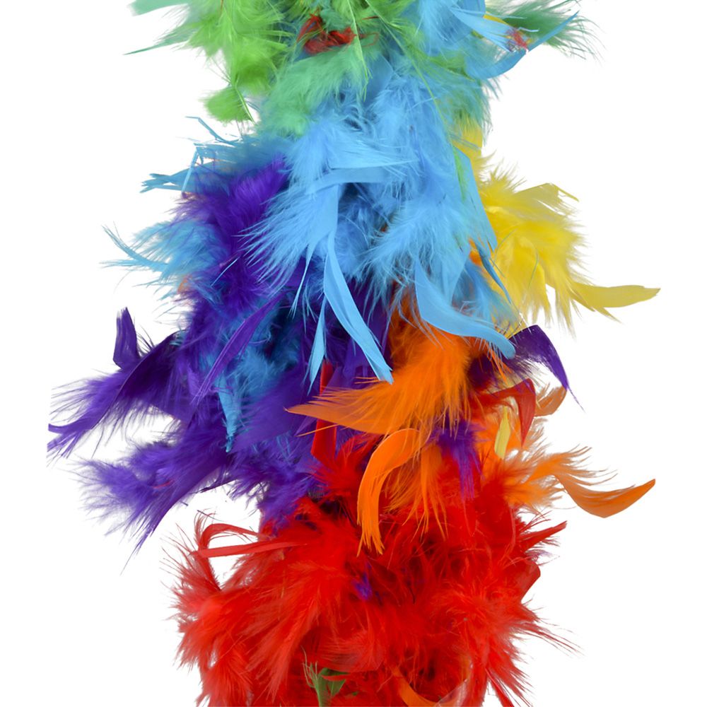 48 pieces 6' 60g Rainbow Boa - Costumes & Accessories
