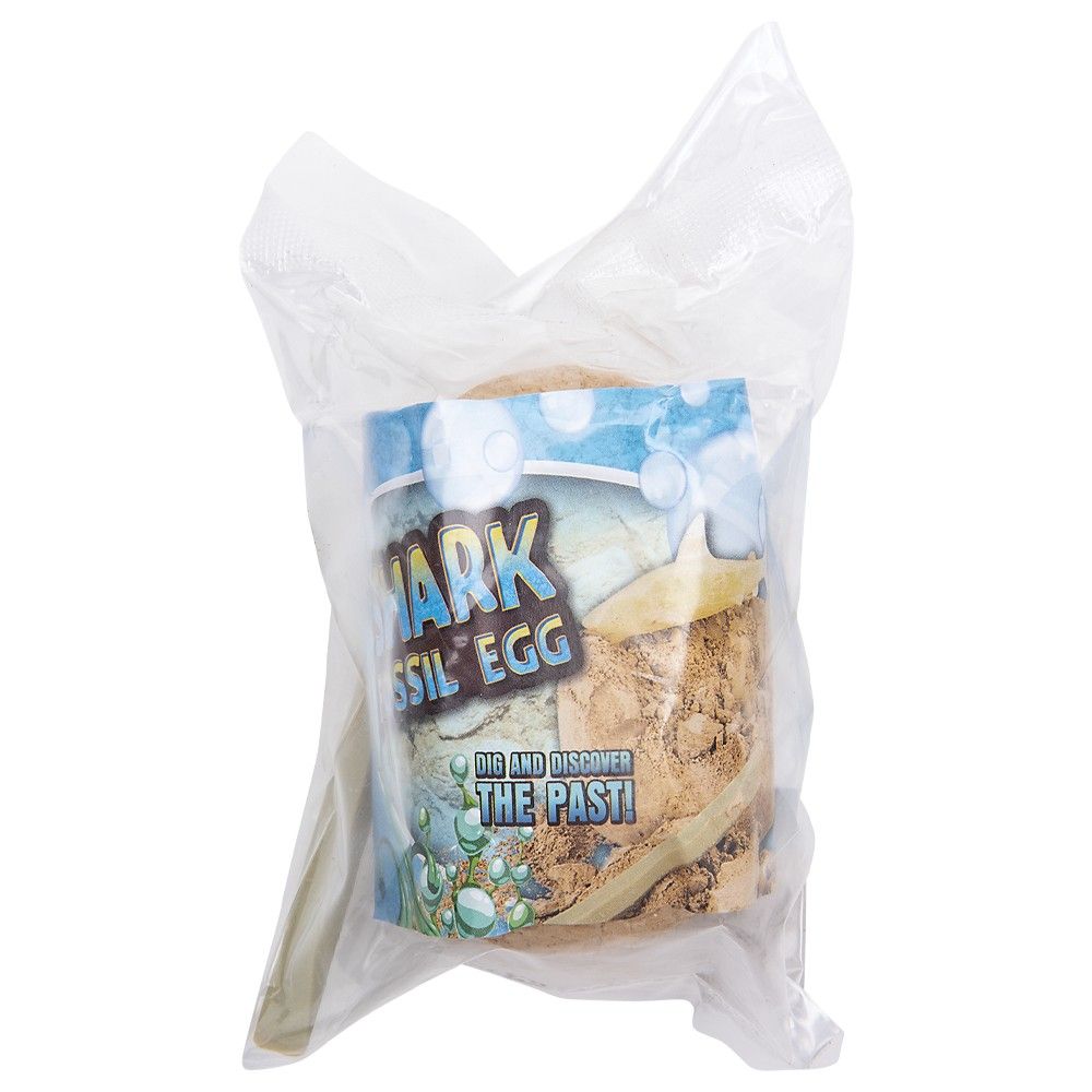 144 pieces 3" Shark Fossil Egg - Animal & Reptiles