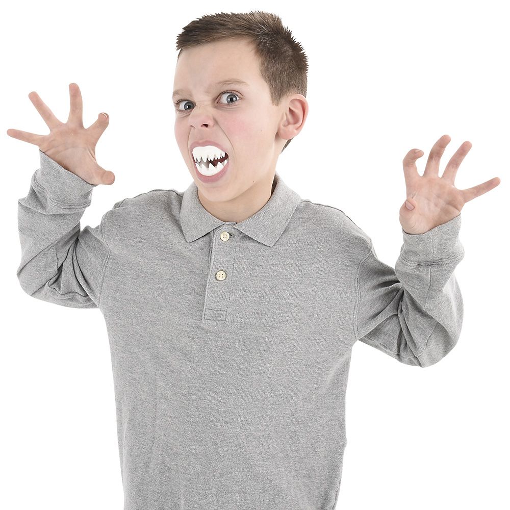 72 pieces Great White Shark Teeth - Store