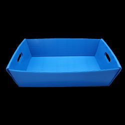 2 Pieces of Blue Plastic Letter Tray