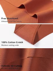 300 Pieces 300 Women's Brief Seamless Nylon Mix Colors And Size - Womens Panties & Underwear