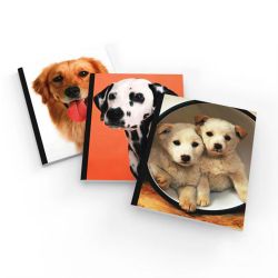 48 Wholesale Ultra hard cover designer composition notebook 100 sheets cats and dogs