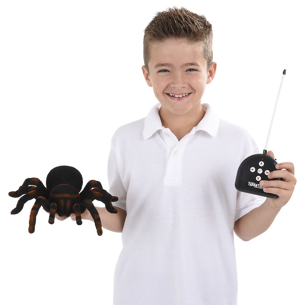 8 pieces 10" Remote Controlled Tarantula - Animal & Reptiles