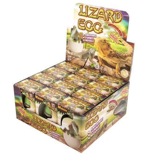 12 Pieces Growing Pet Lizard Eggs - Animal & Reptiles