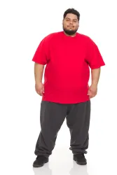 Mens Plus Size Cotton Short Sleeve T Shirts Assorted Colors Size 6xl
