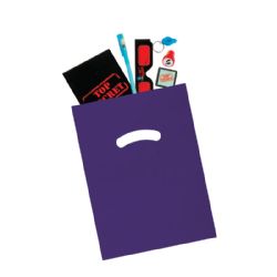 10 Wholesale Confidential Spy Goodie Bag
