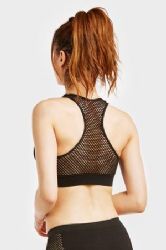 216 Pieces Mamia Ladies Seamless Sports Bra W/mesh On Back - Womens Bras And Bra Sets
