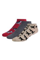 480 Pairs Men's Novelty Ns 10-13 - Mens Ankle Sock