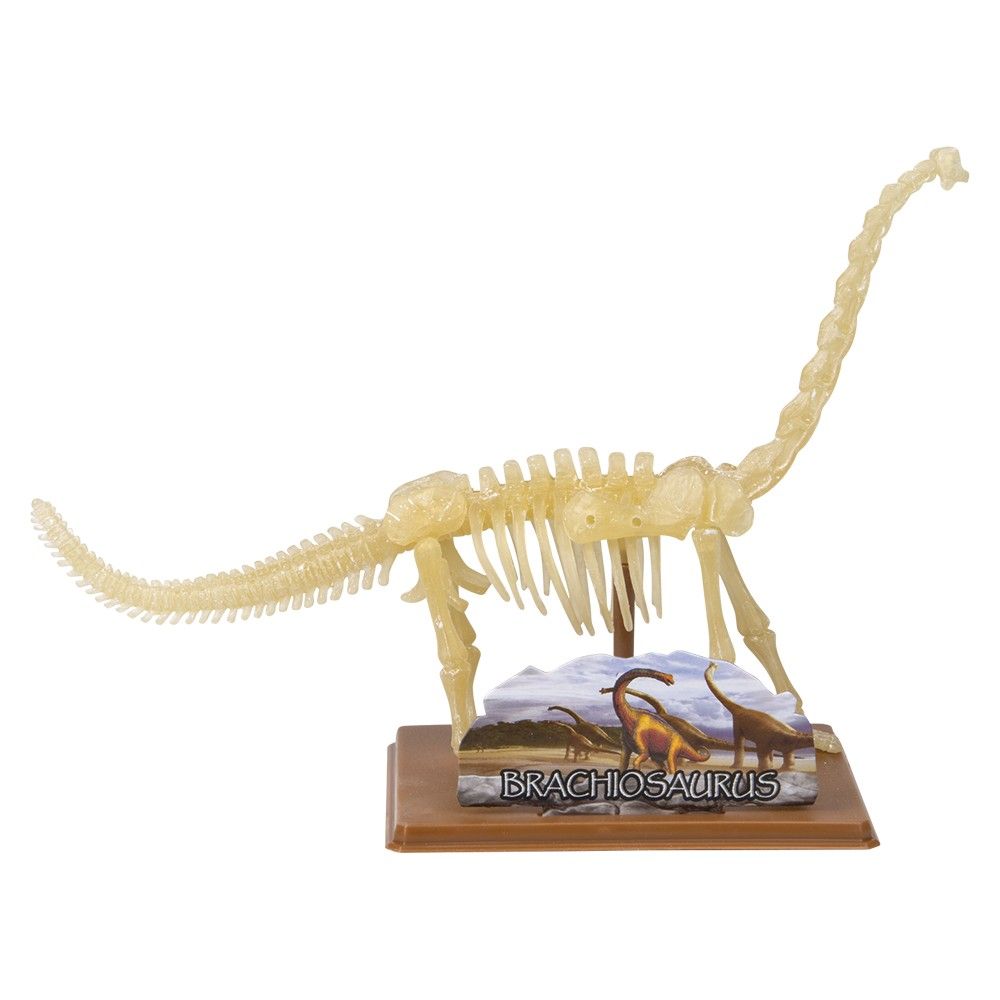 12 pieces of Augmented Reality Brachiosaurus Dinosaur Dig Figure