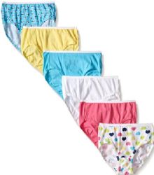 4000 Pieces Hanes Toddler Girls Underwear Mix Prints Size 4t - Girls Underwear and Pajamas