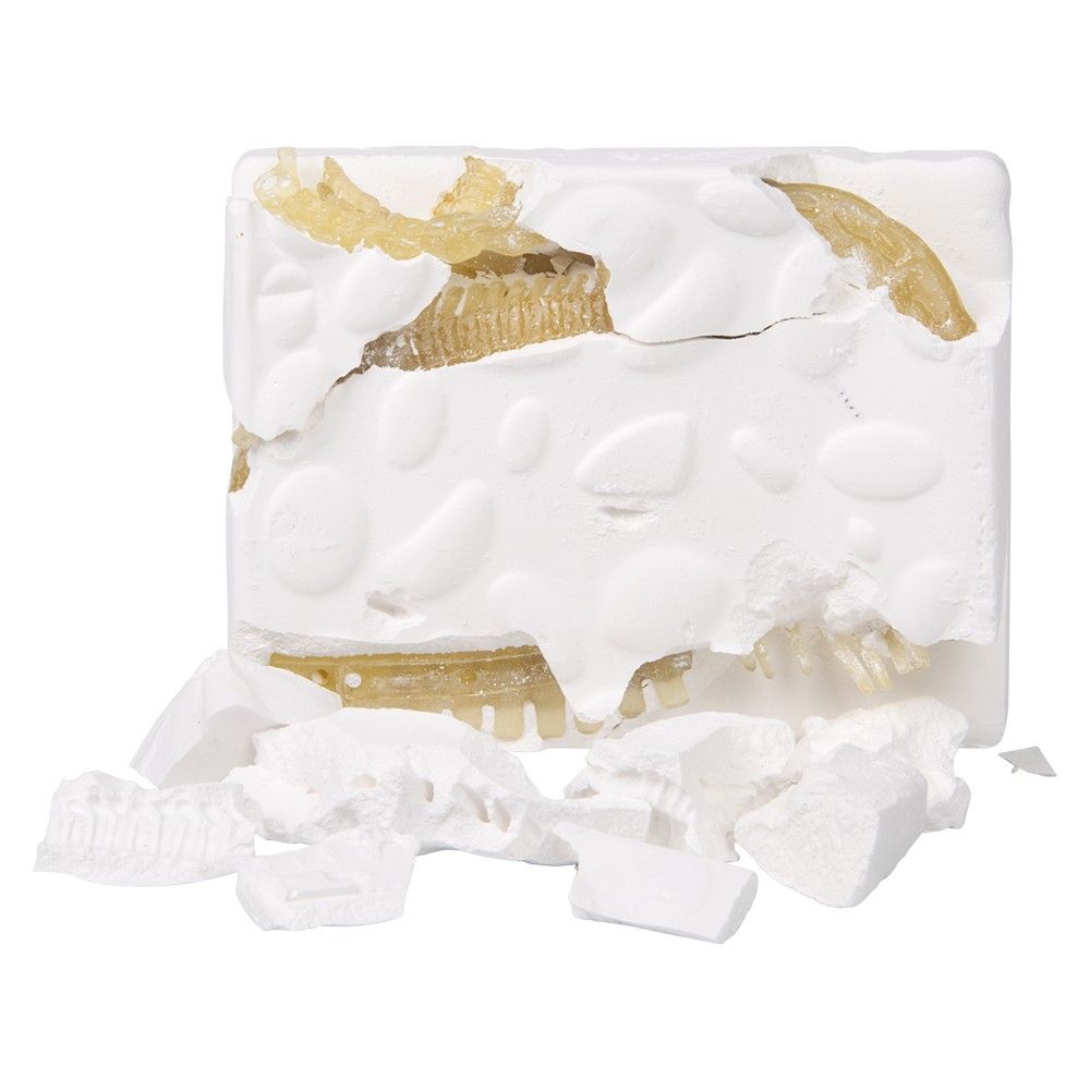 12 pieces of Augmented Reality Brachiosaurus Dinosaur Dig Figure