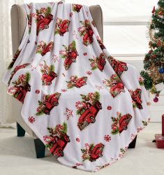 12 Wholesale Holiday Themed Fleece Blanket Pallet Deal Assorted Prints 50x60