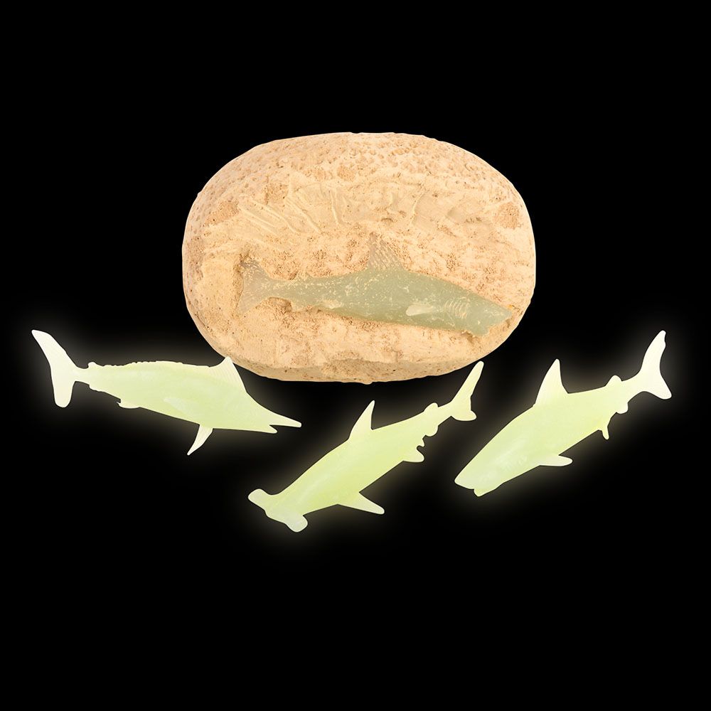 144 pieces 3" Shark Fossil Egg - Animal & Reptiles