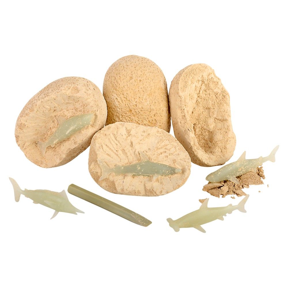 144 pieces 3" Shark Fossil Egg - Animal & Reptiles