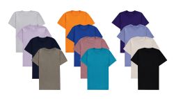 72 Wholesale Fruit Of The Loom Mens Cotton Blend Assorted T Shirts, Assorted Colors Size xl