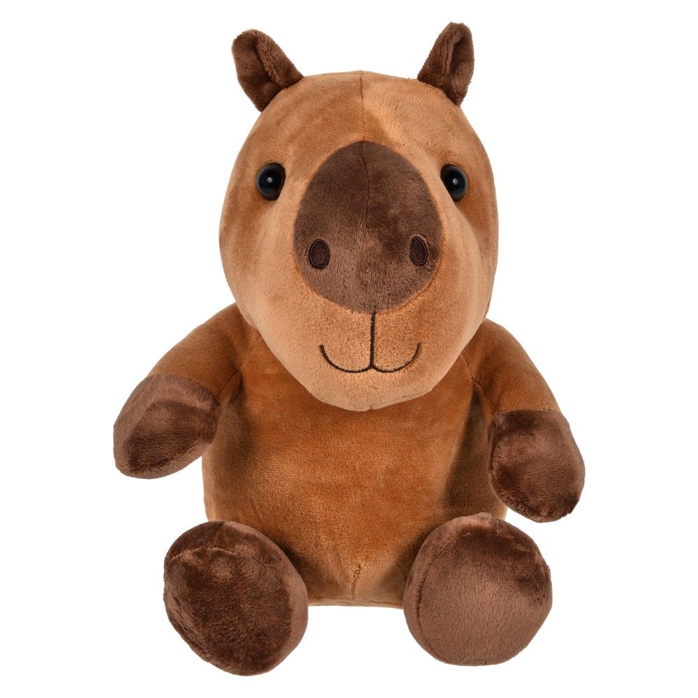 30 pieces of 10" Capybara