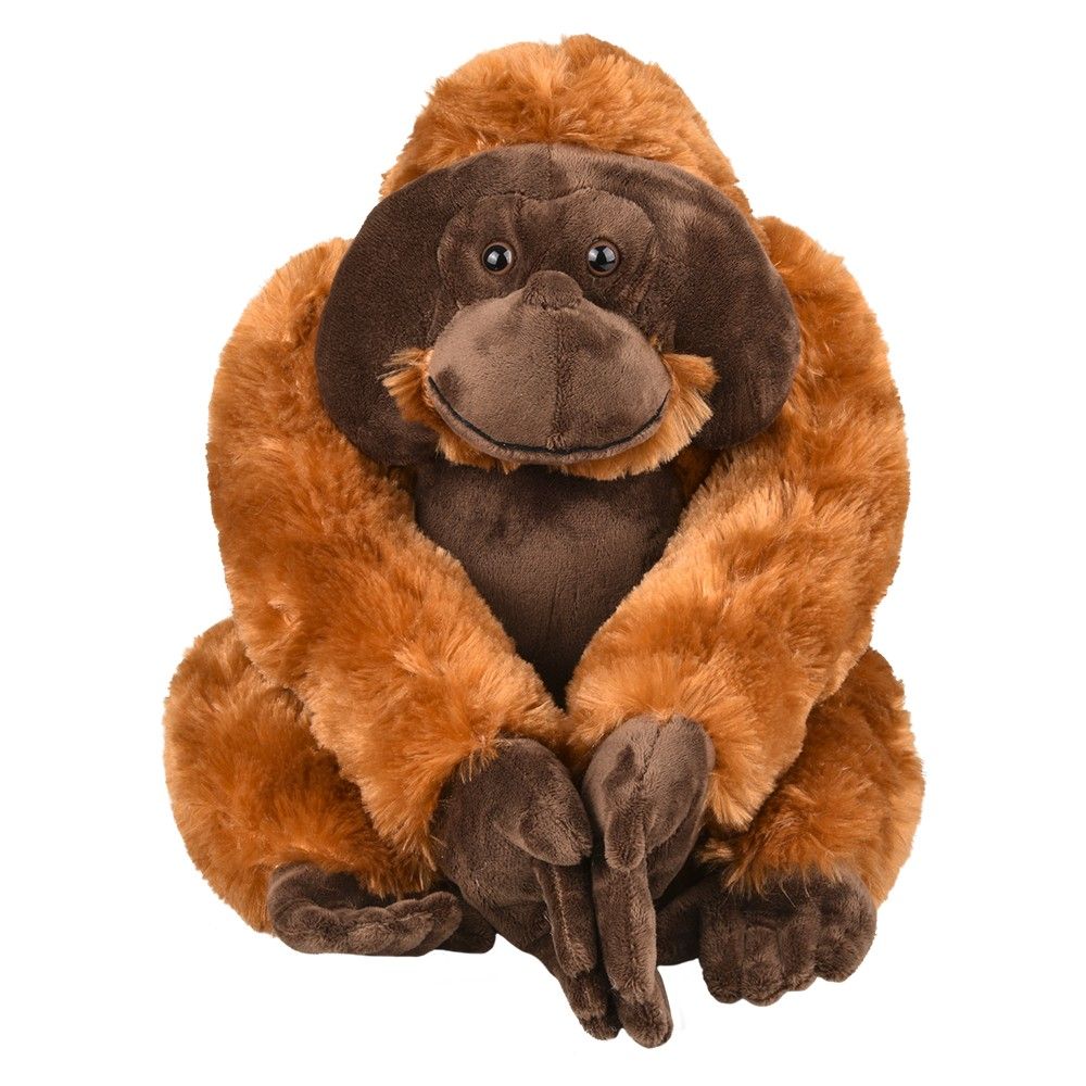 12 pieces of 13" Orangutan
