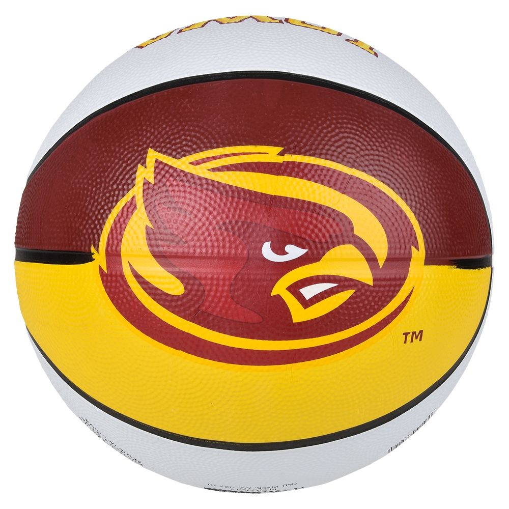 25 of 9.5-inch Iowa State Reg Basketball