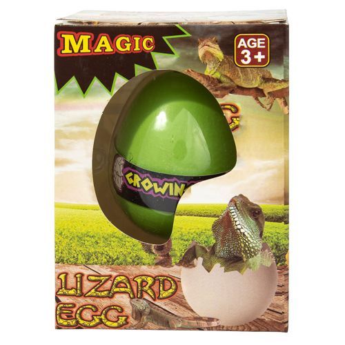 12 Pieces Growing Pet Lizard Eggs - Animal & Reptiles