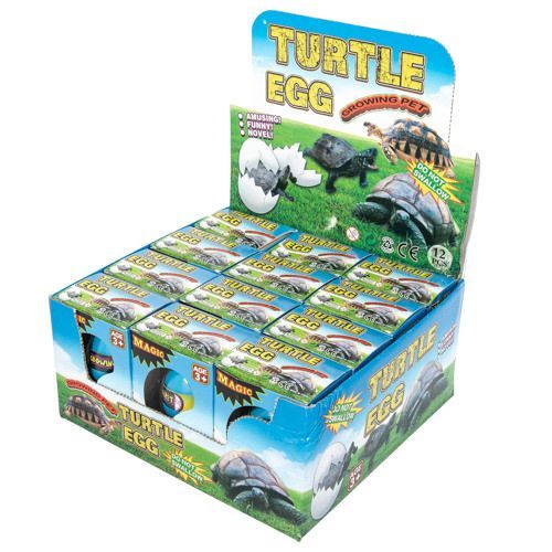 12 Pieces Growing Pet Turtle Eggs - Animal & Reptiles