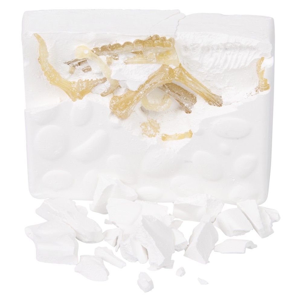 12 pieces of Augmented Reality T-Rex Dinosaur Dig Figure