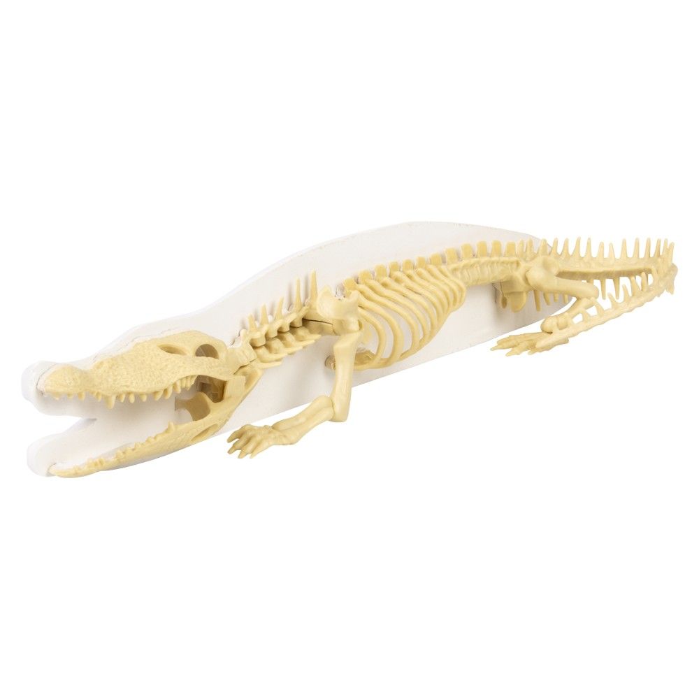 12 pieces of Augmented Reality Crocodile Dig Figure