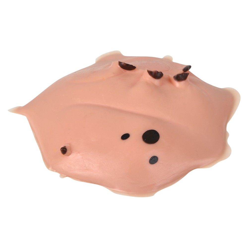 144 pieces 2.5" Splat Capybara 12ct - Slime & Squishees
