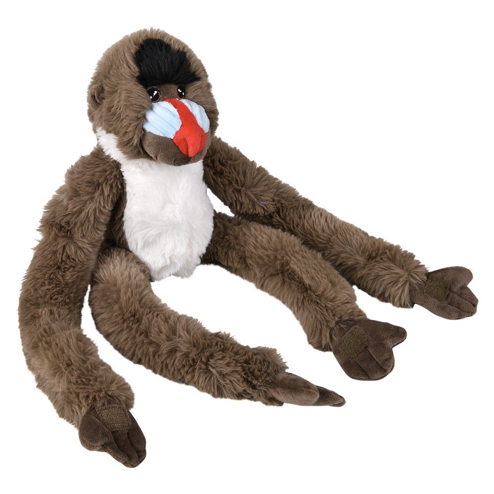 36 pieces 29.5 inch Earth Safe ExtenD-A-Pull Mandrill - Plush Toys