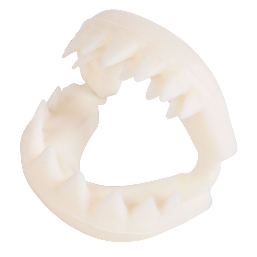 72 pieces Great White Shark Teeth - Store