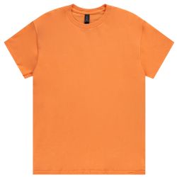 24 of Men's Cotton Short Sleeve T-Shirt Size Small, Orange