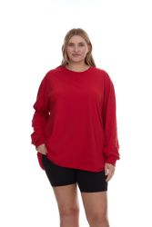 24 Wholesale Womens Plus Size Cotton Long Sleeve Oversized T-Shirts, Casual Fit Tops, Dark Assorted Size 2xlarge
