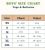 Kids Youth Cotton Assorted Colors T Shirts Size S
