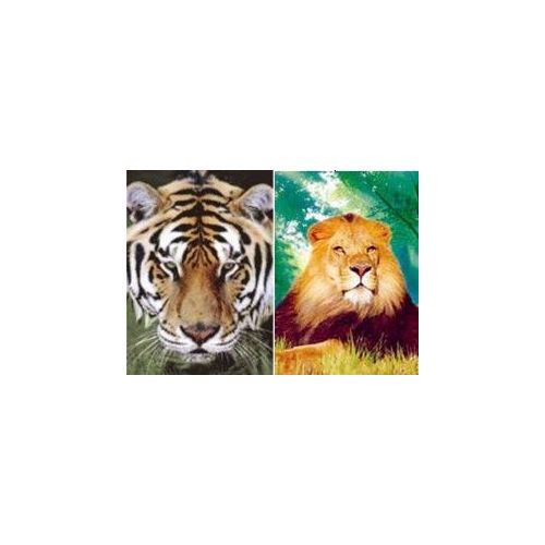 20 Wholesale 3d PicturE-Lion/tiger