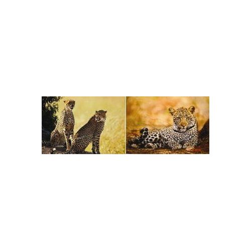 20 Pieces 3d PicturE-Cheetah Laying/2 Cheetahs - Wall Decor - at ...