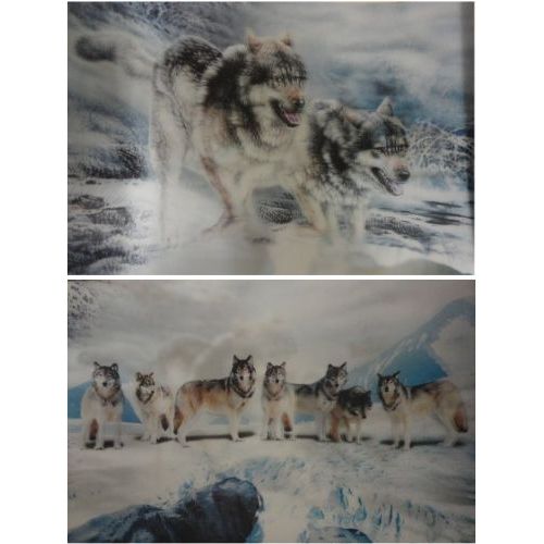 50 Wholesale 3d PicturE-Snowy Wolf Pack/2 Wolves