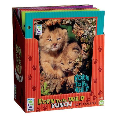 96 Pieces of Born To Be Wild Bunch Folder