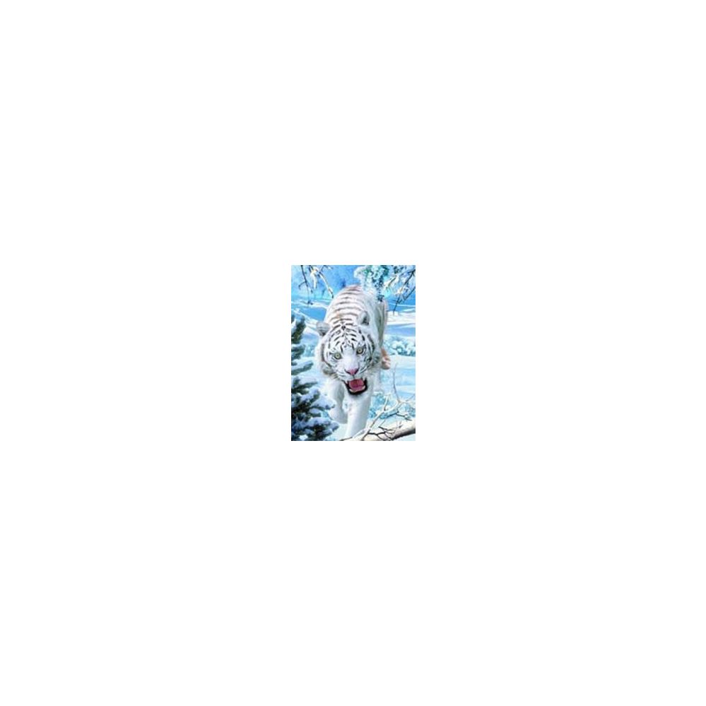 20 Wholesale 3d Picture 44--Walking White Tiger With Snow