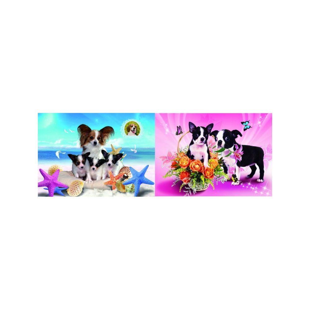 20 Wholesale 3d Picture 72--Boston Terrier Puppies/ Puppies At Beach