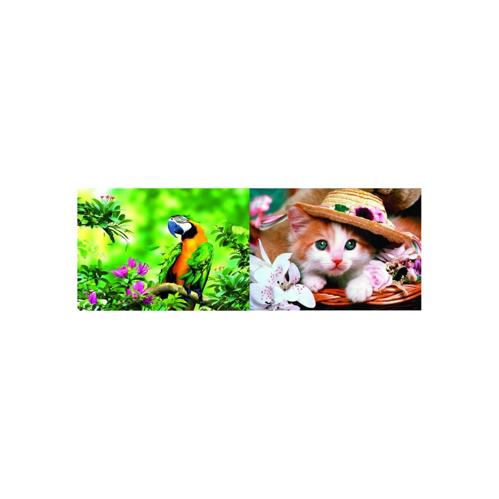 20 Wholesale 3d Picture 75--Parrot/kitten With Bonnet