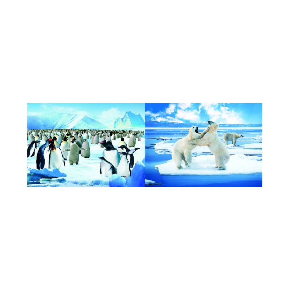 20 Wholesale 3d Picture 78--Penguins/polar Bears