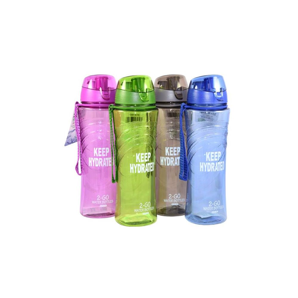 24 Pieces of Water Bottle With Filter 22oz W/ Top Asst Colors