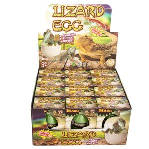 24 Wholesale Growing Pet Lizard Eggs