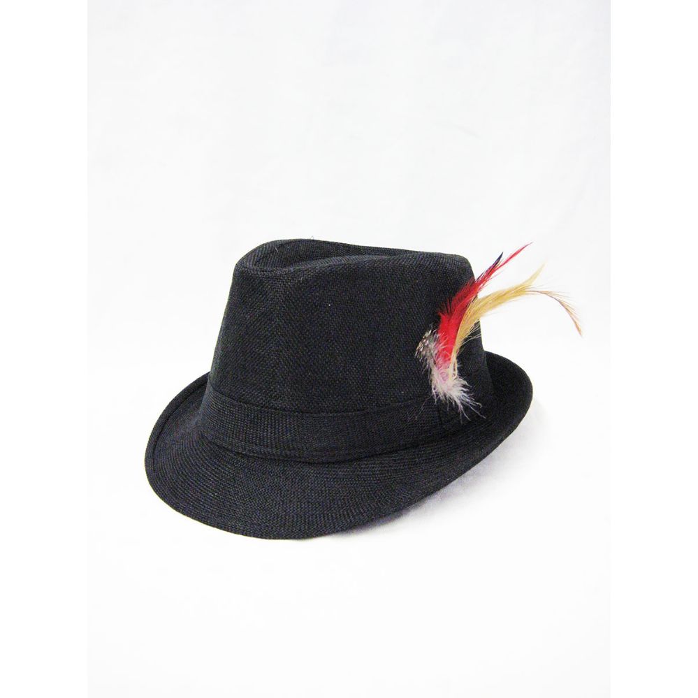 【if you have/Feather Hat】 36 Pieces Wool Fedora Hat With Feather Black - Fedoras