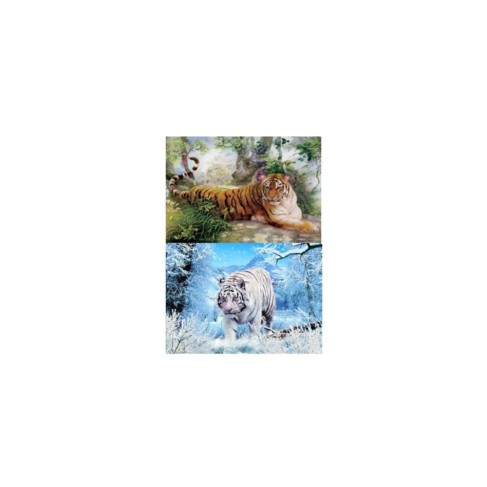 50 Wholesale 3d Picture 73--Siberian Tiger/bengal Tiger
