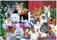 50 Pieces 3d Picture 9710--7 Cats - Wall Decor