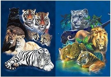50 Pieces 3d Picture 9711--Wild Cats - Wall Decor