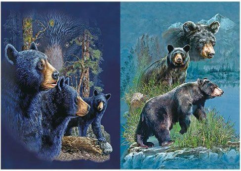 50 Pieces 3d Picture 9718--Three Bears - Wall Decor