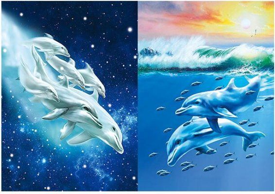 50 Pieces 3d Picture 9720--Dolphins - Wall Decor