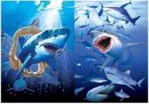 50 Pieces 3d Picture 9727--Sharks - Wall Decor
